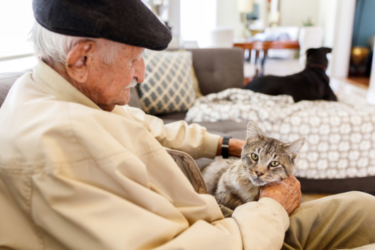 5 Good Reasons to Get a Pet in Your Golden Years