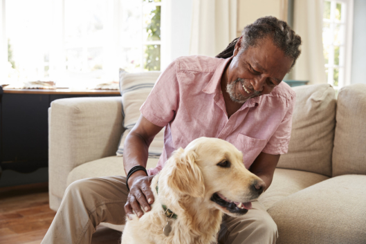 What You Should Consider Before Participating in Pet Therapy